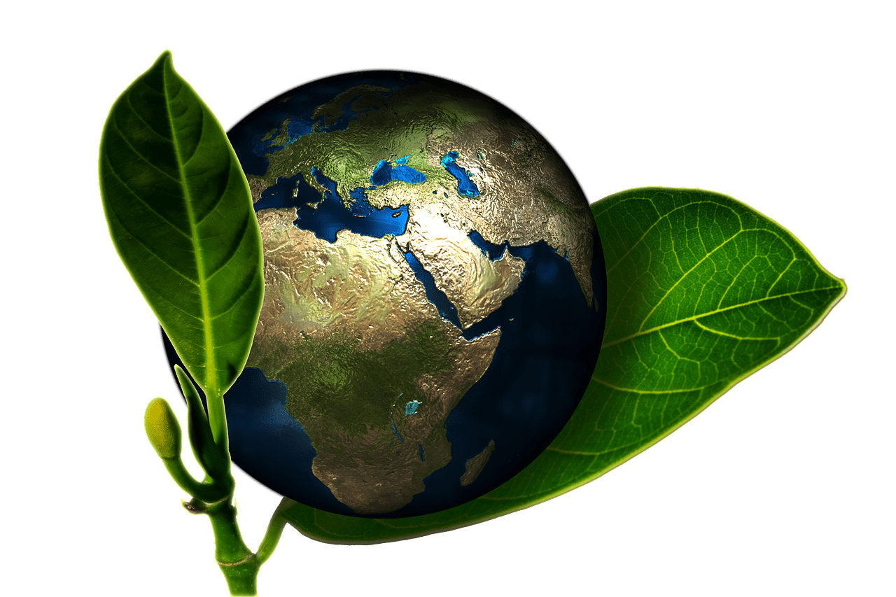 earth, globe, birth-661447.jpg