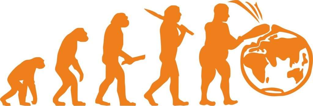 evolution, planet, ecology-2305142.jpg